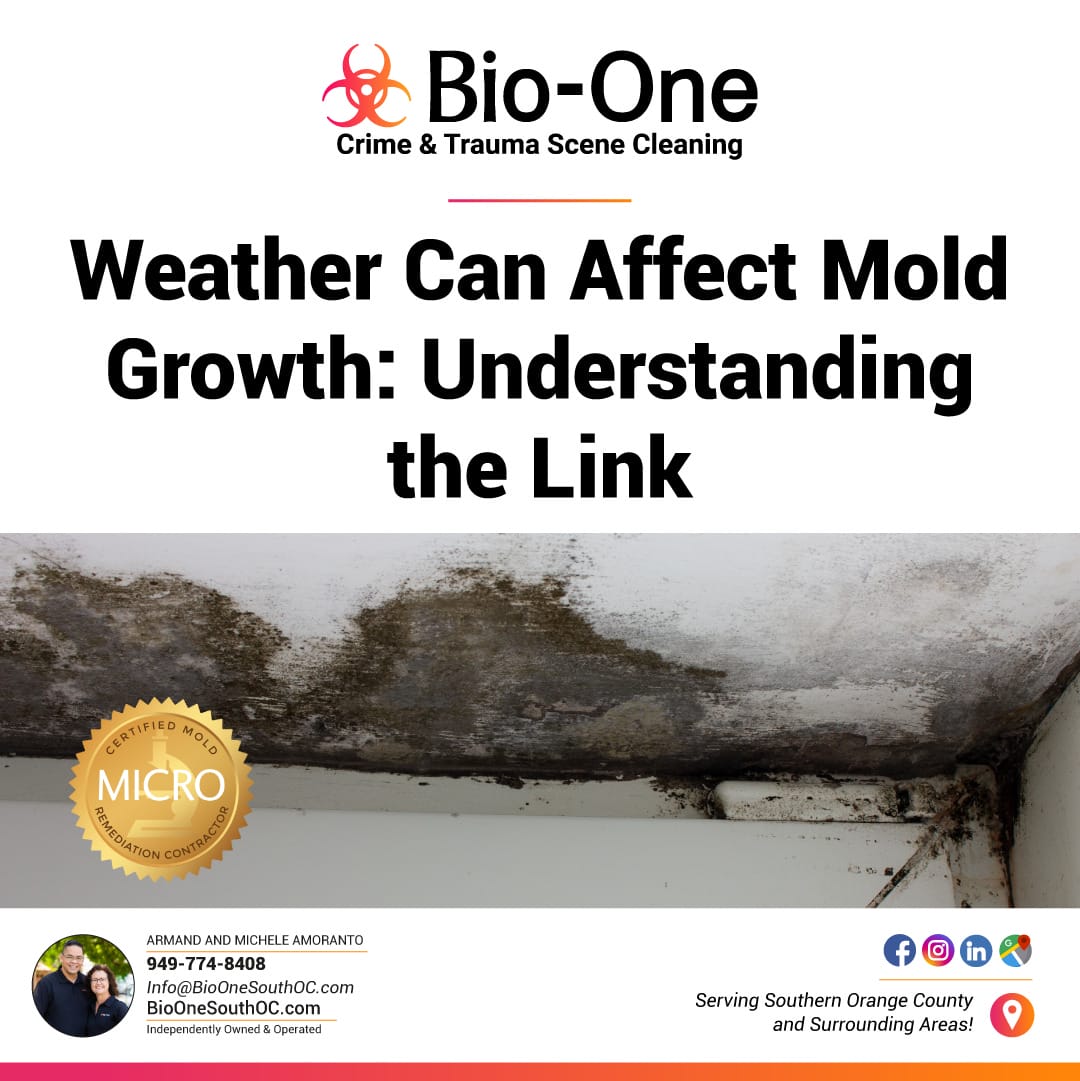 Weather Can Affect Mold Growth Understanding the Link BioOne of